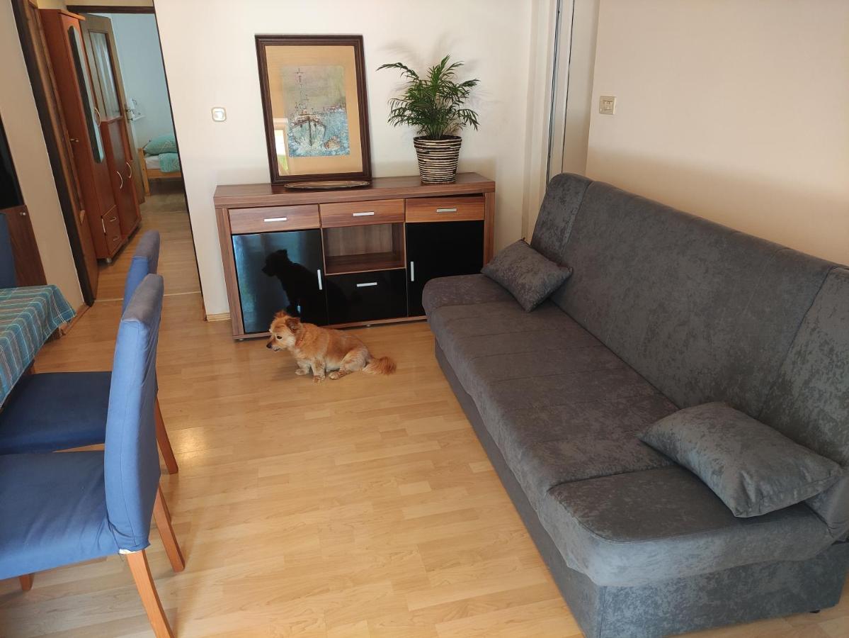Valenta Apartment